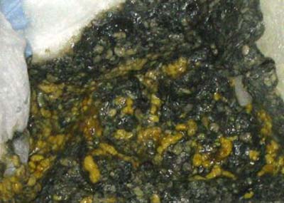 مدفوع نوزاد,انواع مدفوع نوزاد,مدفوع واقعی نوزاد